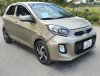 Xe phù hợp cho gia đình