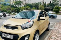 Màu vàng giá hữu nghị